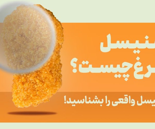 شنیسل مرغ چیست